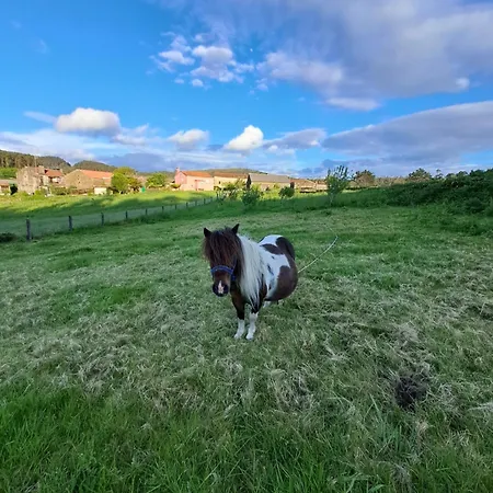 Toxosoutos アパート