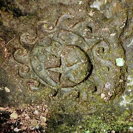 Toxosoutos