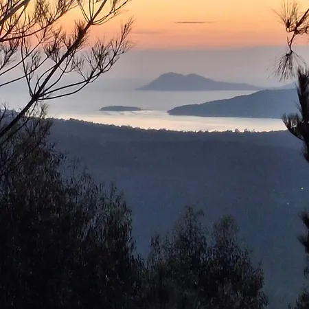 Toxosoutos Tojos Outos